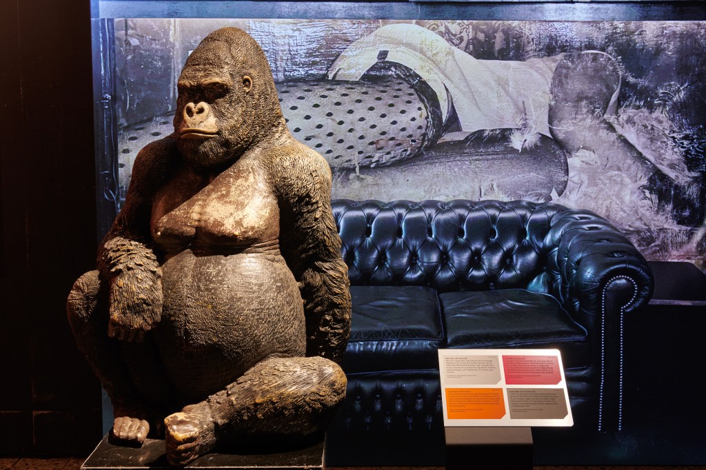 Gorillastatue aus dem Club Zukunft;
Wer die Treppe des Clubs Zukunft hinuntersteigt, begegnet als Erstes der Gorilla-Statue «Mirai». Sie ist vielen Nachtschwärmerinnen und -schwärmern in Zürich bekannt und wird ins nächtliche Treiben miteinbezogen: als Treffpunkt, für Fotos, zum Tanzen.